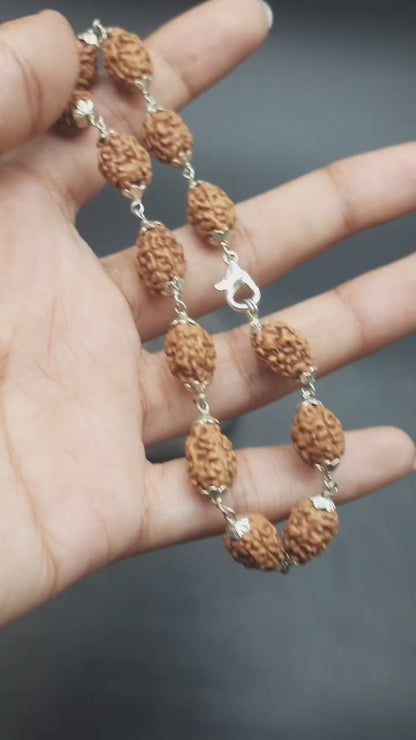 3 Mukhi / Face Java Rudraksha Bracelet with Pure Silver 10-12 mm