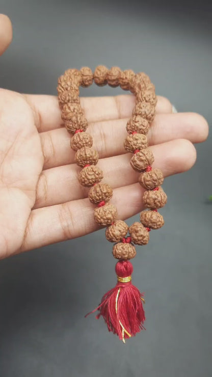 Premium Pathri Rudraksha Mala for Jaap - 5 Mukhi Mala | 27+1 Prayer Beads for Meditation & Healing | 9-10mm Beads