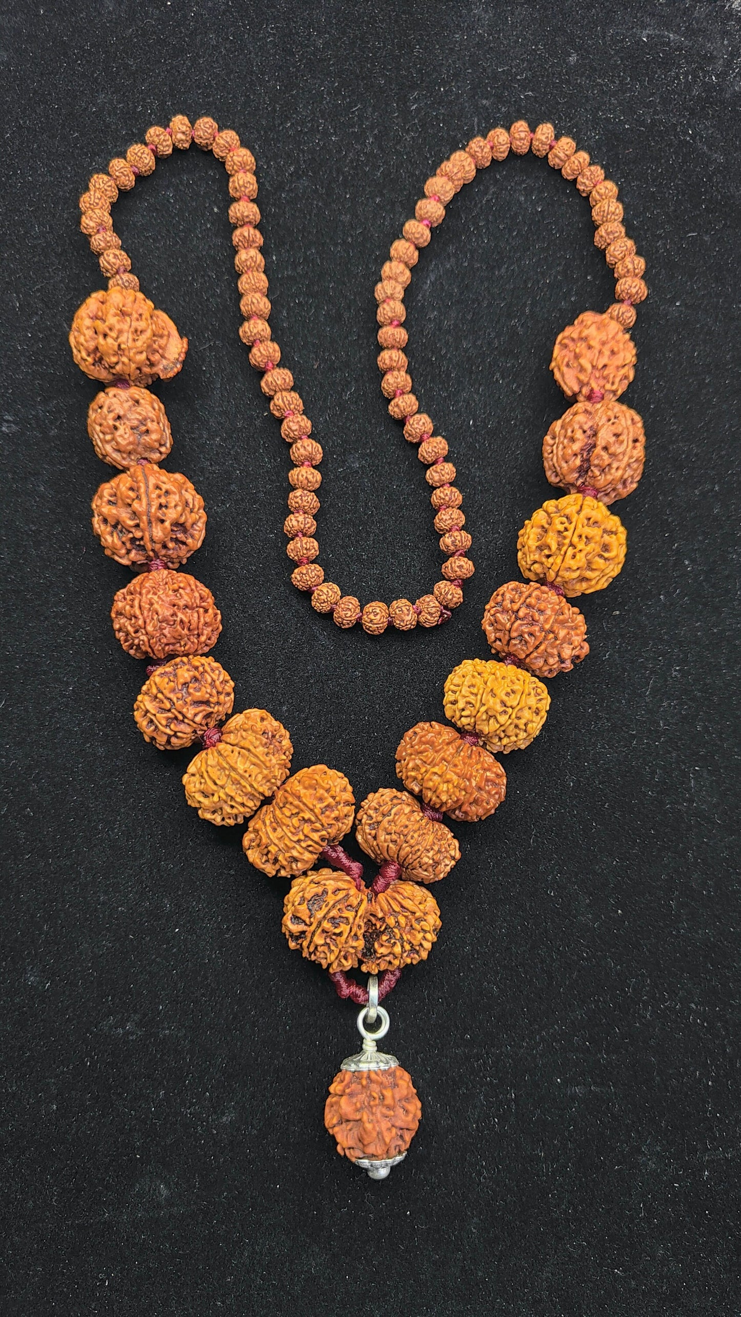 1-14 Mukhi, Ganesh, Gauri Shankh Rudraksha Siddha Mala From Nepal Most Powerful With Pure Silver 22-26mmmm